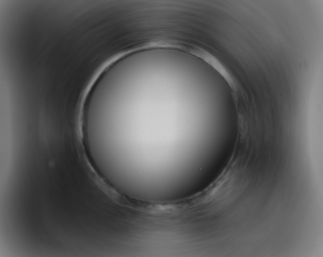 X0000096731148200802191543