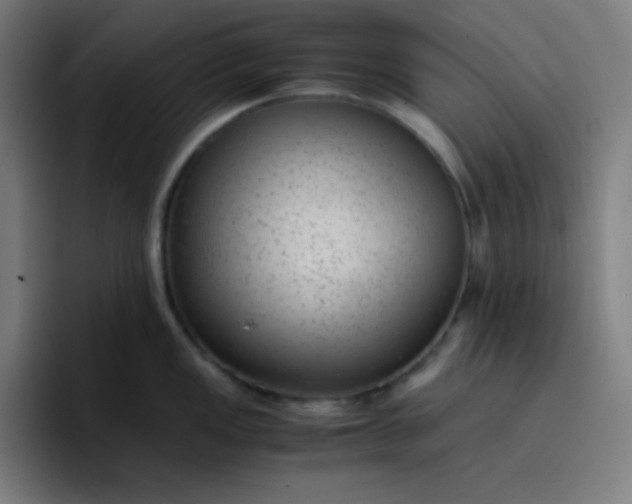 X0000096731149200802191543