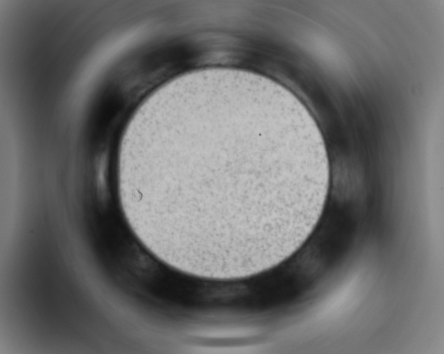 X0000096731150200802191543