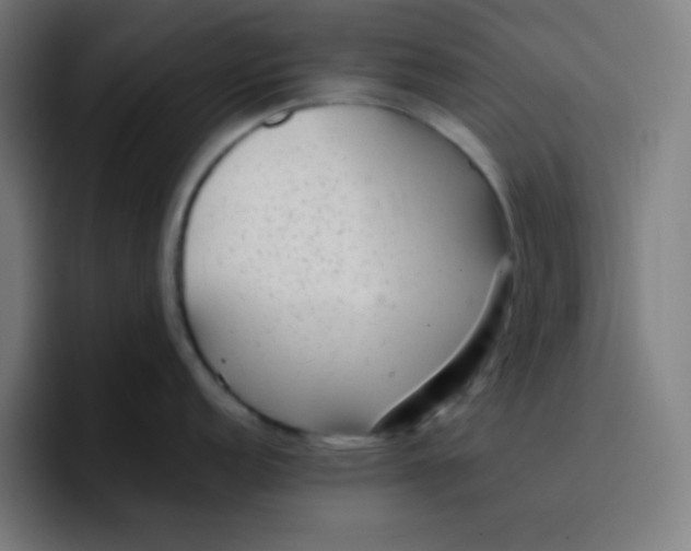 X0000096731152200802191543