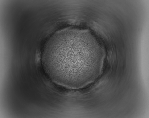 X0000096731154200802191543