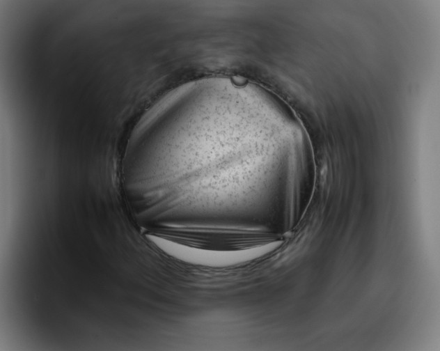 X0000096731156200802191542