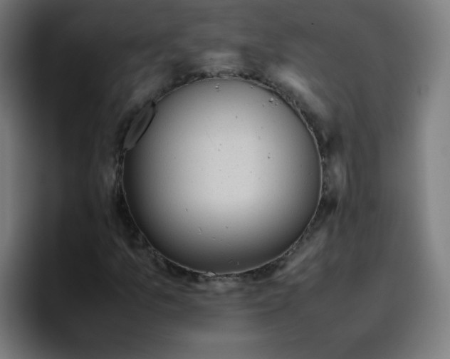 X0000096731157200802191542