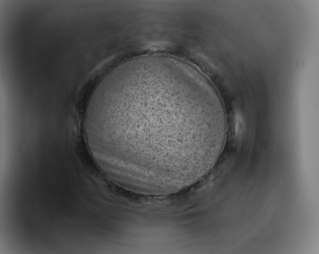 X0000096731158200802191542