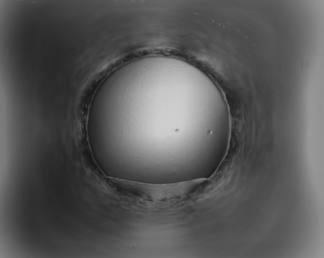 X0000096731159200802191542
