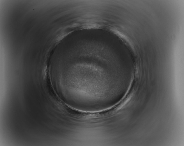 X0000096731161200802191542