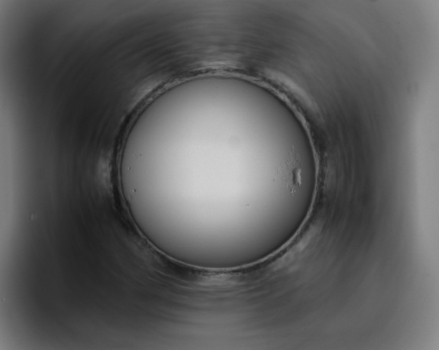 X0000096731162200802191542