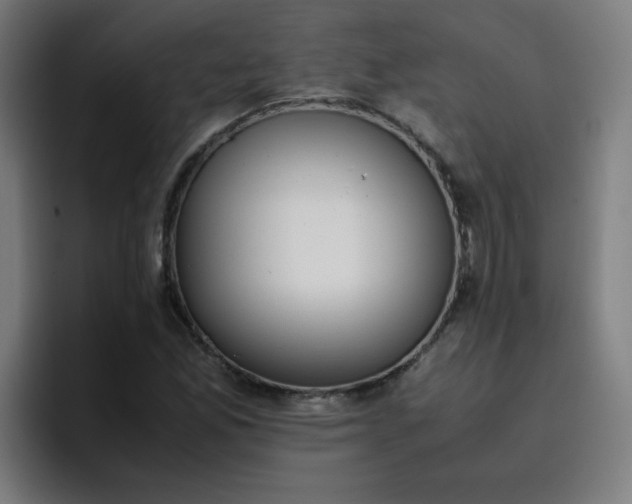 X0000096731165200802191542