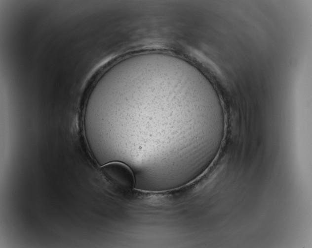 X0000096731166200802191542