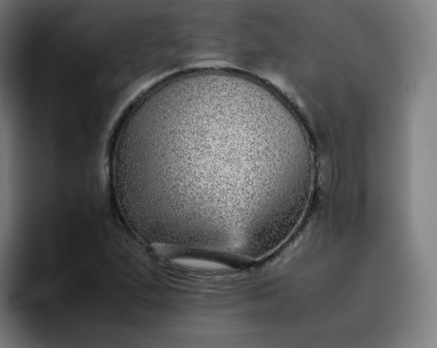 X0000096731167200802191542