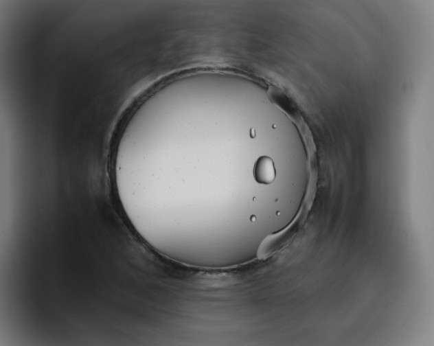 X0000096731168200802191542