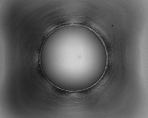 X0000096731169200802191542