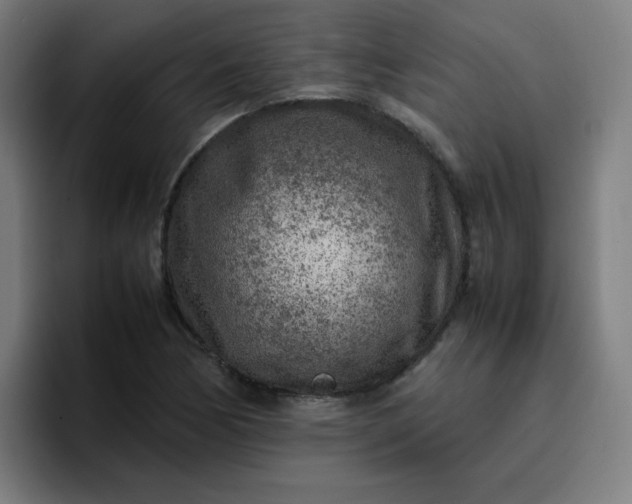 X0000096731170200802191542