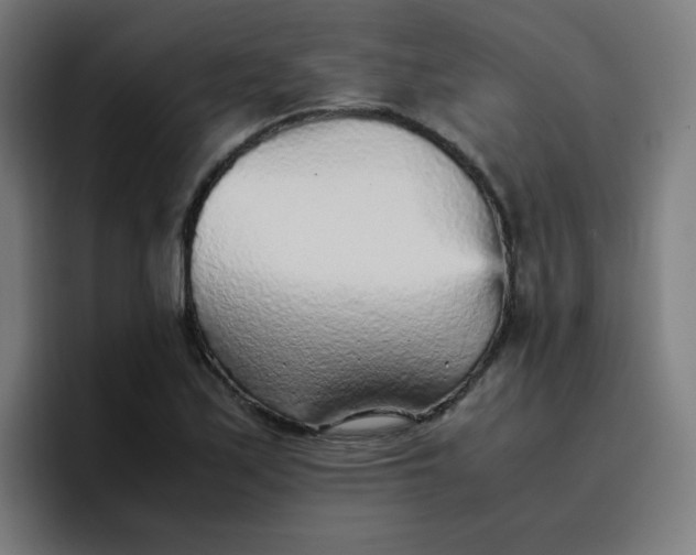 X0000096731171200802191542