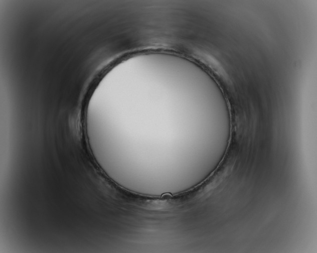 X0000096731172200802191542