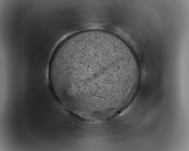 X0000096731174200802191542