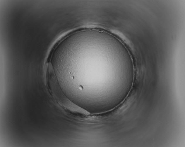 X0000096731175200802191542