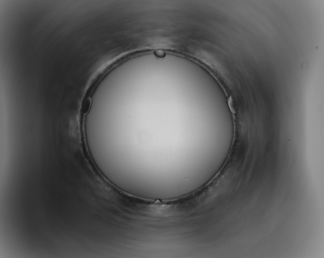 X0000096731176200802191542
