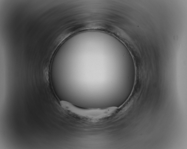 X0000096731177200802191542