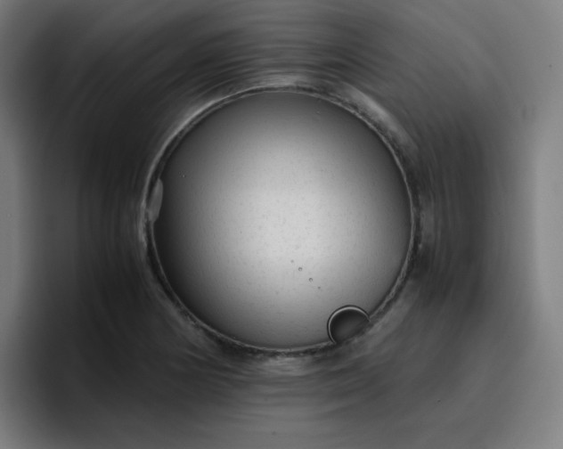 X0000096731178200802191542