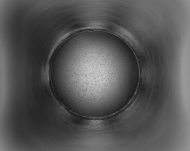 X0000096731180200802191542