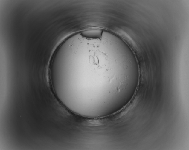 X0000096731182200802191542