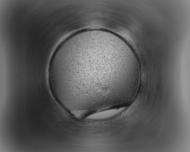 X0000096731183200802191542