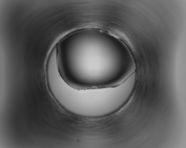X0000096731184200802191542