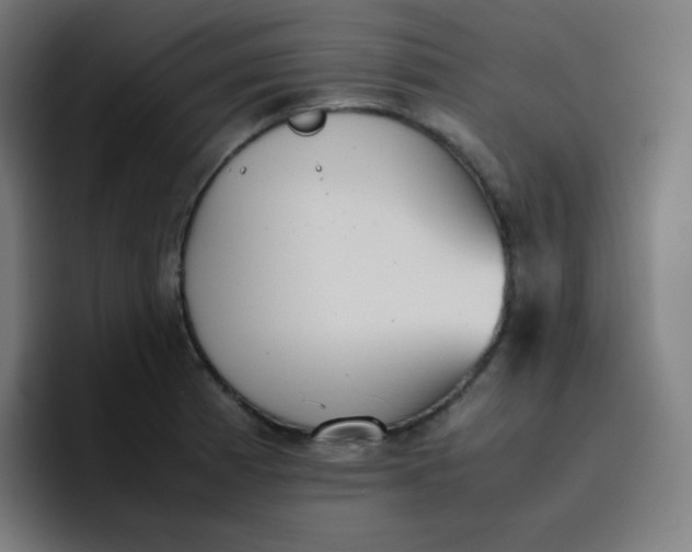 X0000096731185200802191542