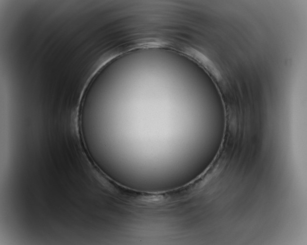 X0000096731186200802191542
