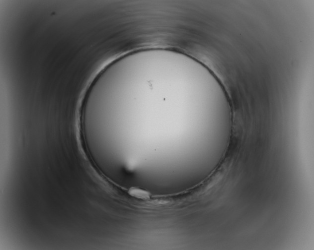 X0000096731187200802191542