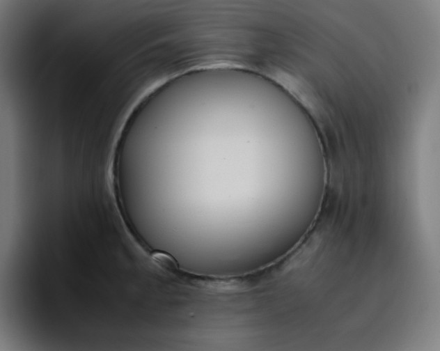 X0000096731189200802191542