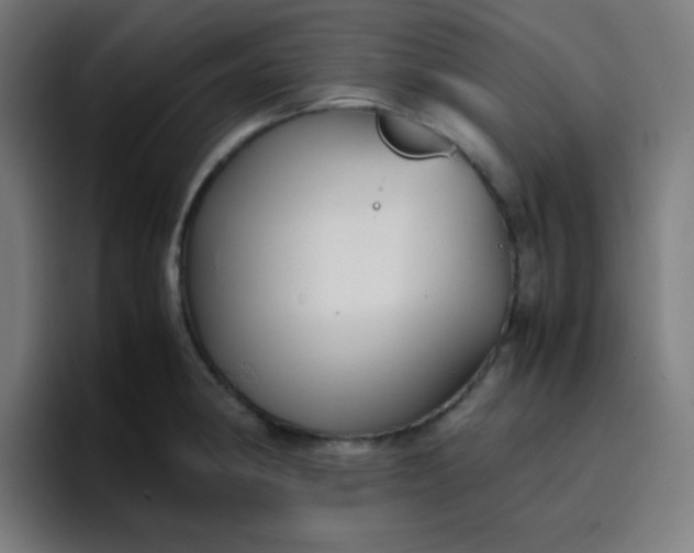 X0000096731190200802191542
