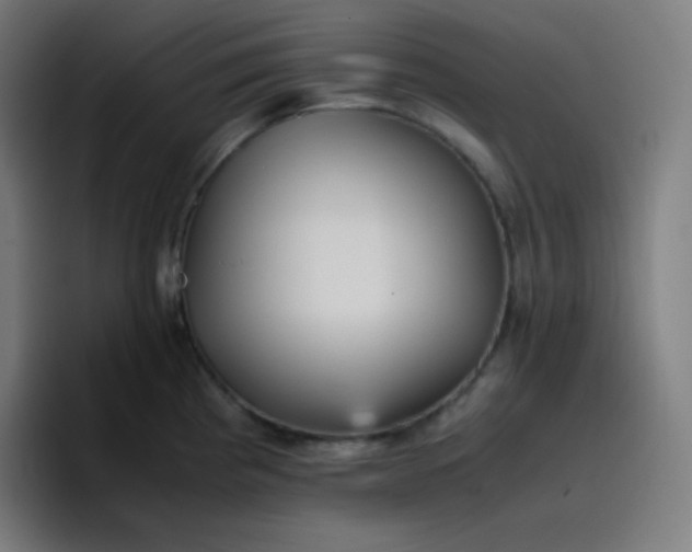 X0000096731193200802191542