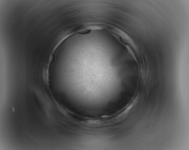 X0000096731194200802191542