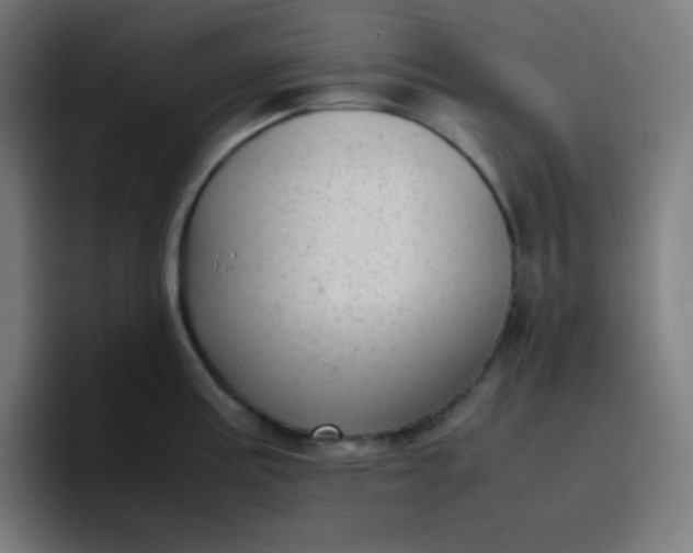 X0000096731195200802191542