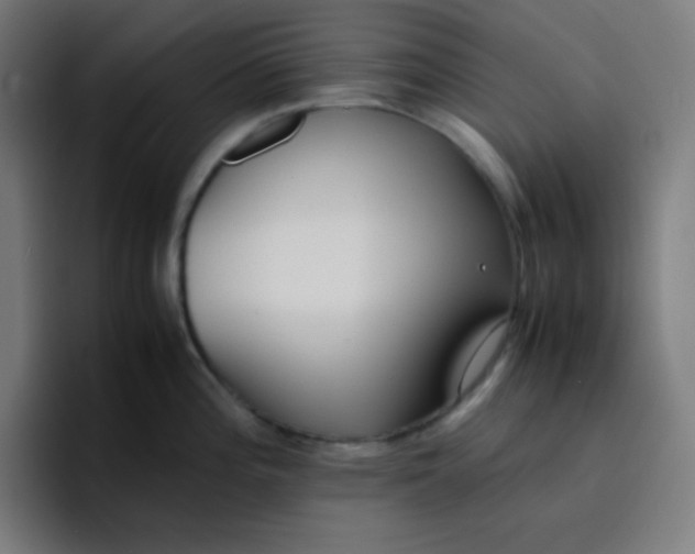 X0000096731196200802191542