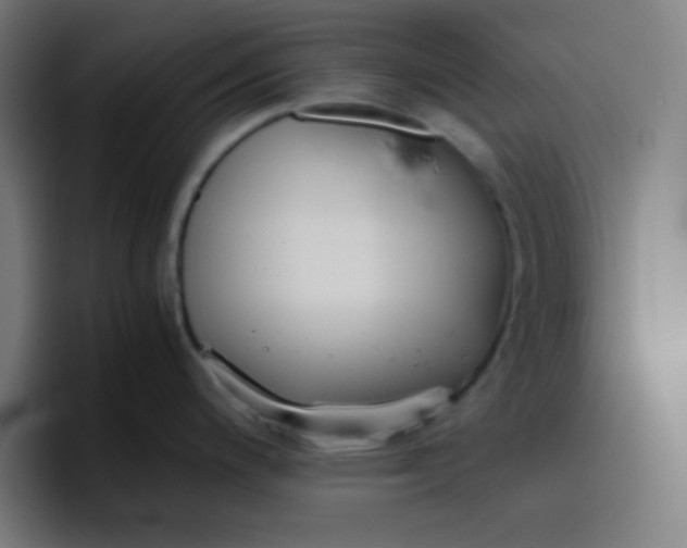 X0000096731200200802191542