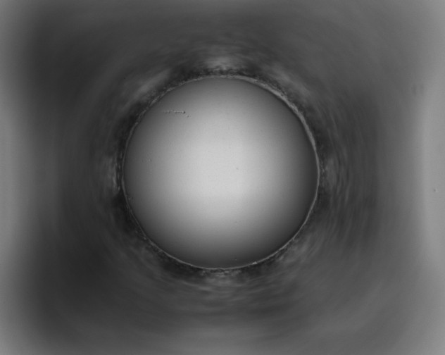 X0000096731205200802191541