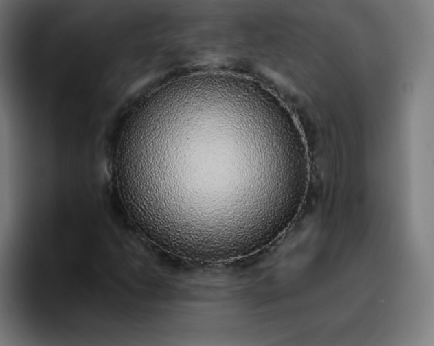 X0000096731206200802191541