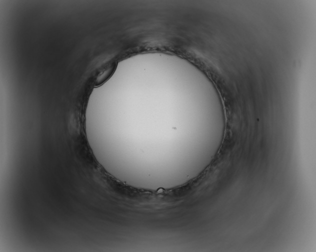 X0000096731207200802191541