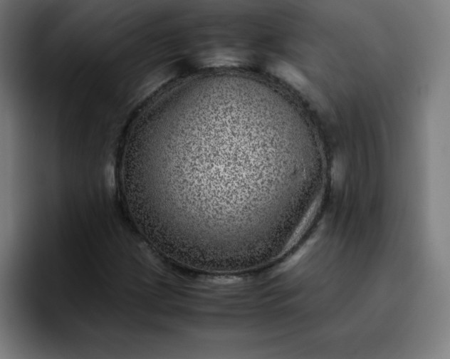 X0000096731209200802191541