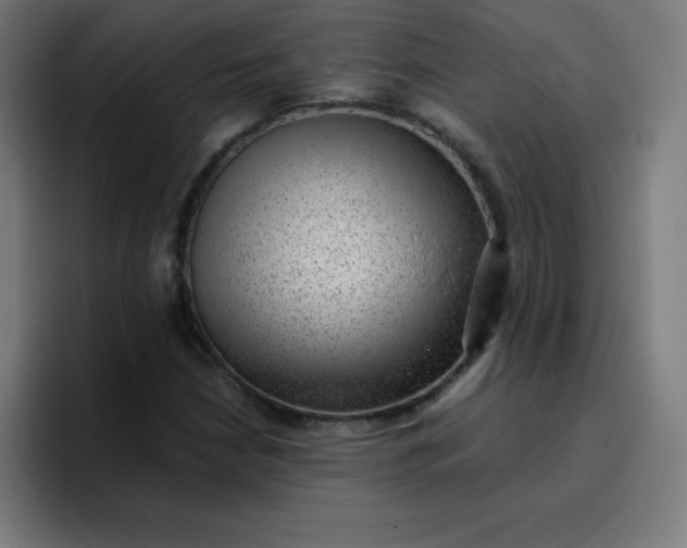 X0000096731210200802191541