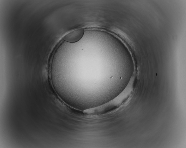 X0000096731212200802191541