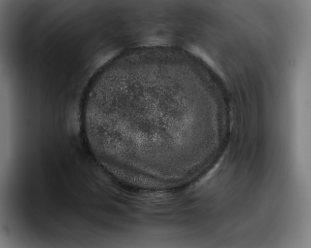 X0000096731213200802191541