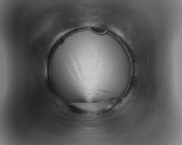 X0000096731214200802191541