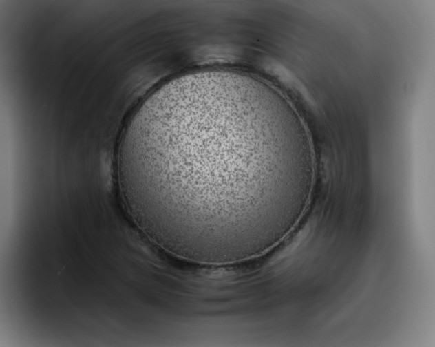 X0000096731217200802191542