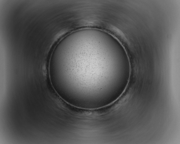 X0000096731218200802191542