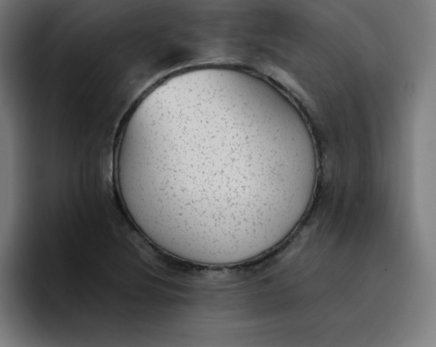 X0000096731220200802191542