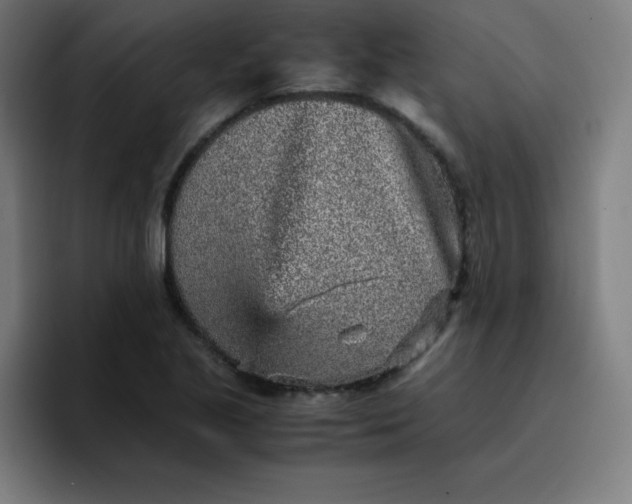 X0000096731221200802191542